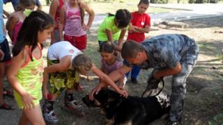 Полицейские со служебными собаками побывали в детском лагере «Звездный»