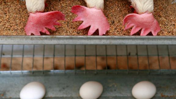 Цены на яйца за месяц увеличились на 34 процента