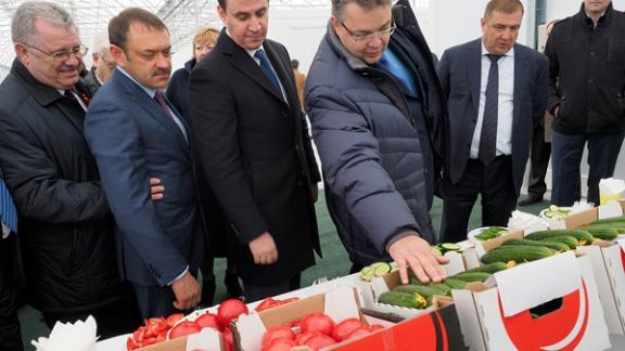 Новая очередь тепличного комплекса «Овощи Ставрополья» открыта в Кировском районе
