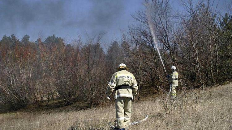 Пожарные тушили Члинский лес в Ставрополе и гору в Невинномысске