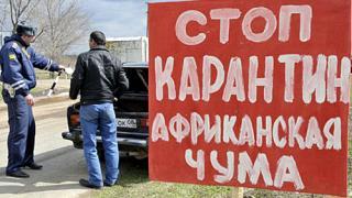На границе Ставрополья и КЧР установлены карантинные посты из-за вспышки африканской чумы свиней
