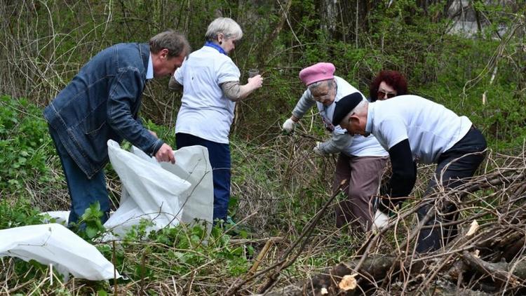 В Железноводске «серебряные волонтёры» очищают территорию «Старого озера»