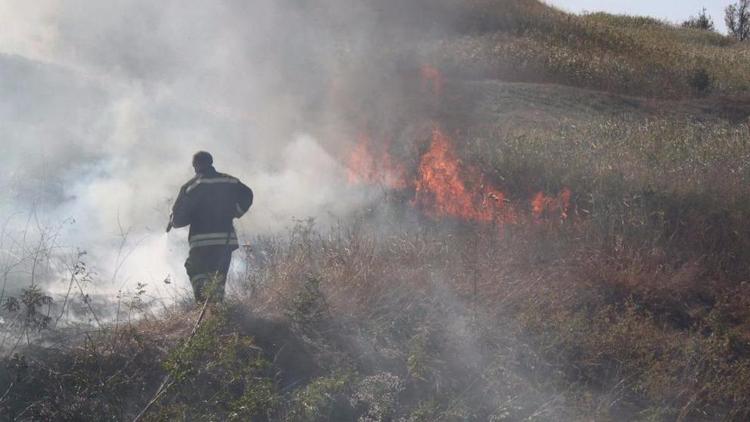 В Ставрополе пожарные 6 часов тушили загоревшийся сухостой