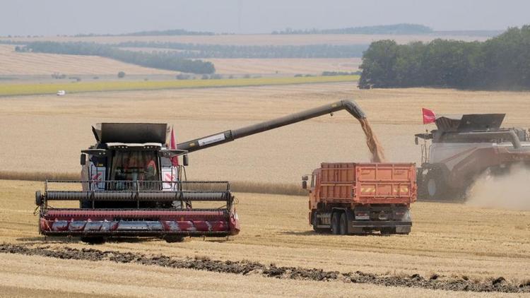 ВТБ заключил с аграриями СКФО кредитные соглашения на 2,5 млрд рублей
