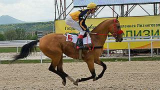 На соревнованиях по конкуру на новом конном манеже букет наград собрала Ольга Раевская