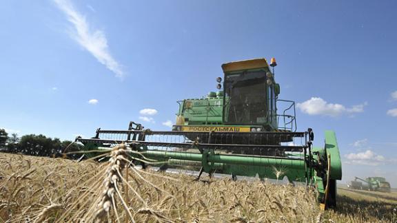 На Ставрополье урожайность зерна в два раза выше, чем в прошлом году