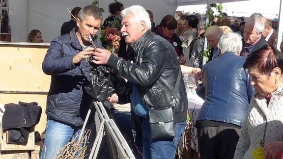 Ставропольские виноделы устроили настоящий праздник в Кисловодске