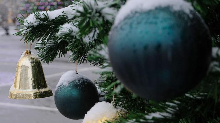 В Будённовске решили установить ёлку на Новый год
