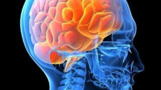 Ученые нашли область головного мозга, ответственную за совесть