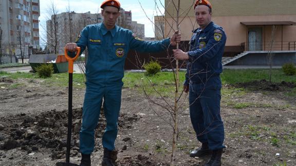 Сотрудники МЧС посадили деревья в Ботаническом саду Ставрополя