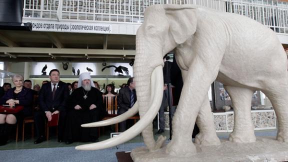 110-летие музей-заповедник Ставрополья отметил презентацией второго южного слона