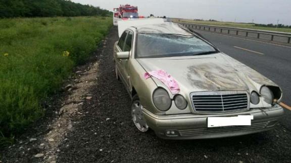 На федеральной трассе «Кавказ» перевернулась иномарка, водитель гостпитализирован