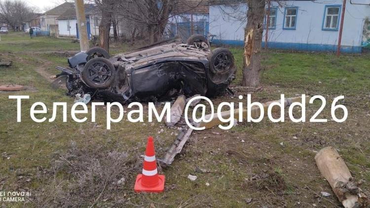 Пассажир автомобиля на Ставрополье погиб от столкновения с деревом