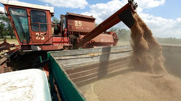 Больше 2,5 млн тонн зерна собрано на полях Ставрополья