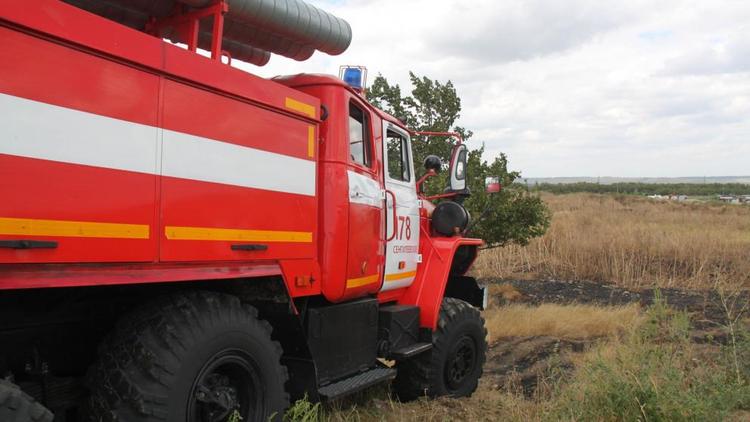 Пожарные потушили две лесополосы в Шпаковском районе