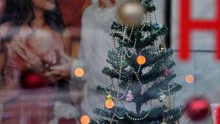 Жители Кисловодска выбирают искусственные ели для празднования Нового года