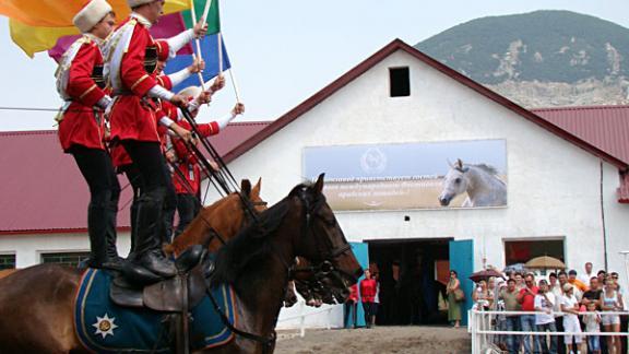 Фестиваль арабских лошадей открывается 30 июля в поселке Новотерский