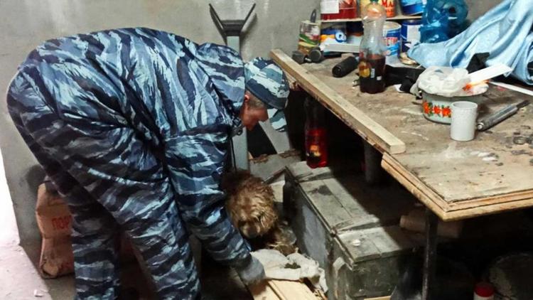 200 г марихуаны нашла полиция в наркопритоне в Курском районе
