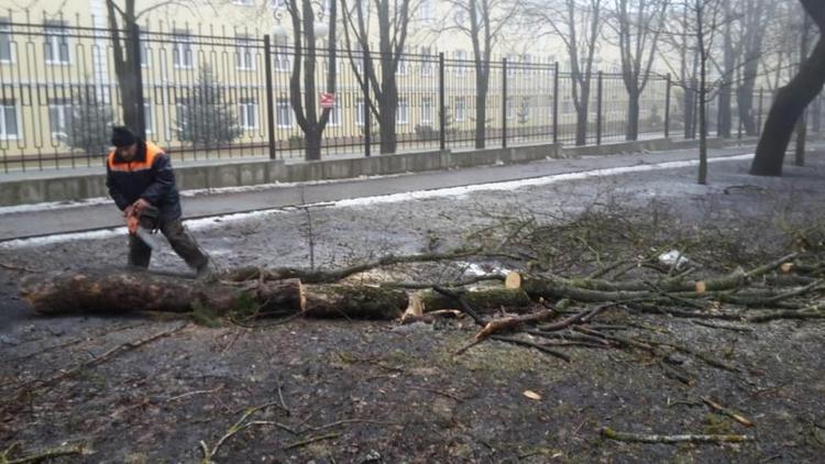 Последствия сильного ветра в Ставрополе устраняют 49 бригад экстренных служб
