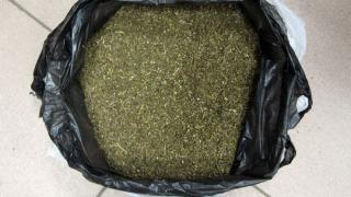 Служебный пёс Ахилл помог обнаружить 6 кг марихуаны в Георгиевском районе