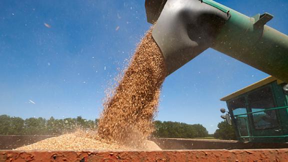 Первый миллион тонн зерна нового урожая собрали в Ставропольском крае