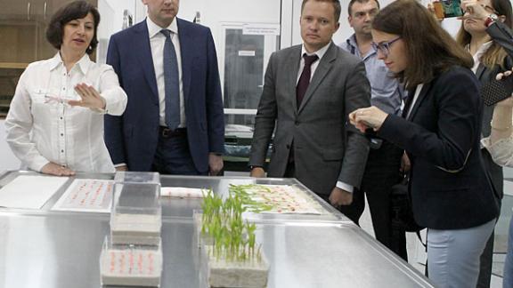 Первую в России лабораторию контроля качества семян открыла «Сингента» на Ставрополье