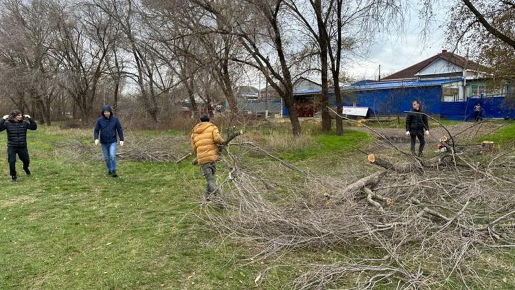 Более 80 саженцев высадили в будущем сквере в Новоалександровске