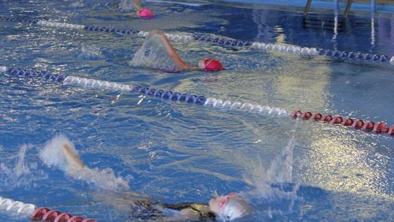В Кочубеевском районе в турнире по плаванию приняли участие 116 юных спортсменов