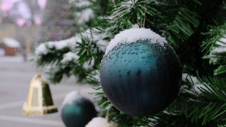 В Будённовском округе планируют отказаться от новогодней ёлки