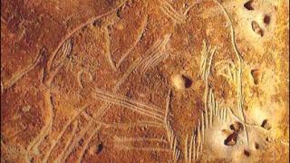 Доисторические рисунки в пещере Руффиньяк создали дети, считают ученые