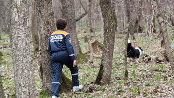 В Русском лесу Ставрополя заблудилась женщина, собиравшая грибы