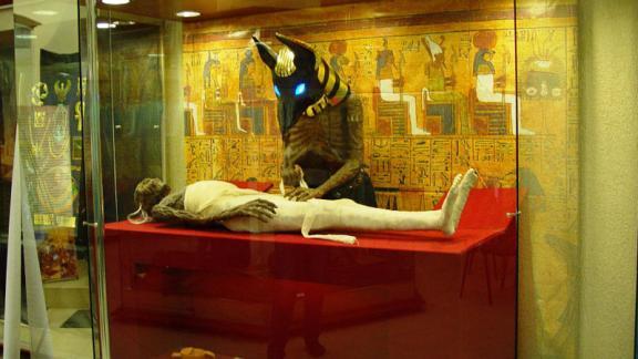 Интерактивная выставка Древнего Египта впервые приехала в Ставрополь