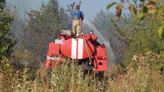 В Арзгирском районе пожар уничтожил около 7 гектаров леса