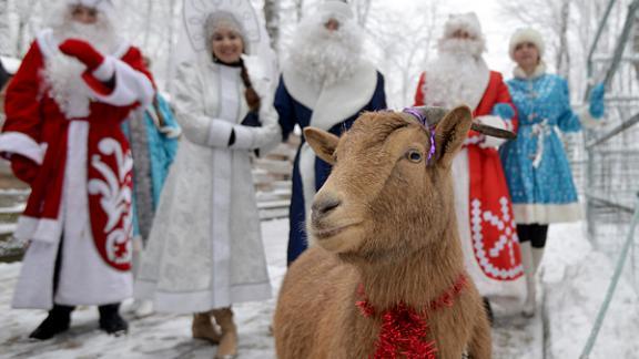 Готовность к Новому году проверили Деды Морозы и Снегурочки в парке Победы Ставрополя