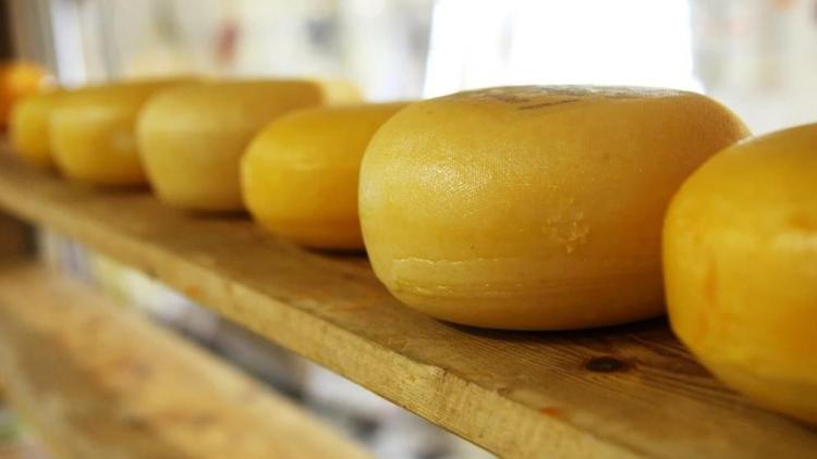 Предприятия Ставрополья вошли в пятёрку ведущих производителей сыров