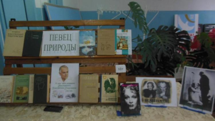 Константина Паустовского вспоминали в библиотеке Александровского района
