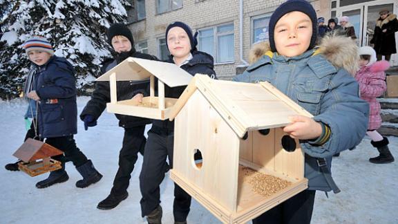 В Ставрополе дети и взрослые зимой подкармливают птиц