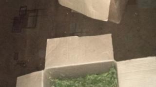 Урожай марихуаны житель Кировского района заботливо разложил по коробкам