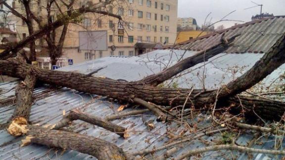 В Ставрополе спасатели ликвидировали последствия штормового ветра