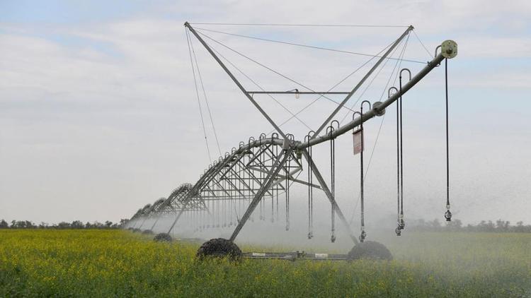 Ставрополье продолжает наращивать площадь орошаемых сельхозугодий
