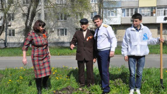 Следователи из Невинномысска вместе с ветеранами посадили аллею ясеней