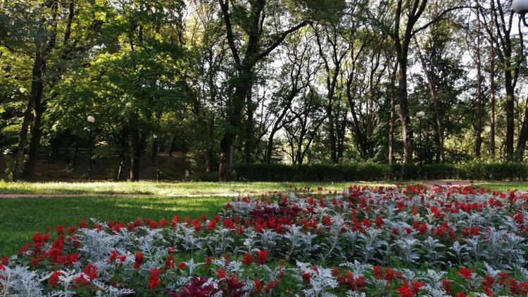 В Кисловодске высадят 500 тысяч весенних цветов
