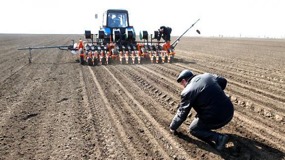 О подготовке к проведению весенних полевых работ говорили на видеоконференции в минсельхозе РФ