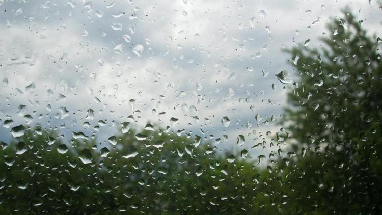 Ставрополье в пятницу накроют кратковременные дожди с грозами