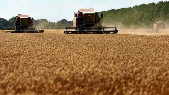 ВТБ в СКФО профинансировал сезонные агротехнические мероприятия СПК «Кубань»
