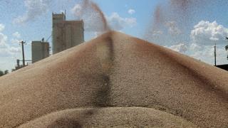 На Ставрополье собрано 3 миллиона тонн зерна