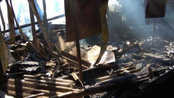 Пасека сгорела в Грачёвском районе