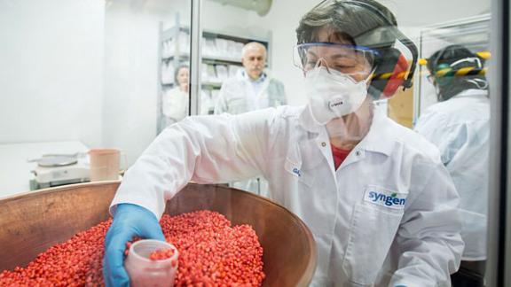 Компания «Сингента» откроет в Михайловске лаборатории по контролю качества семян кукурузы