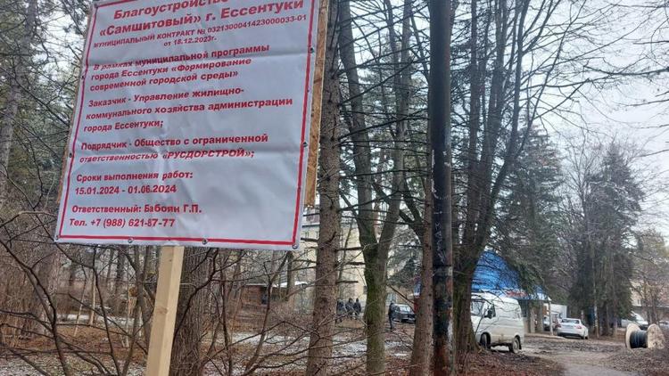 Подрядчика работ в Самшитовом сквере в Ессентуках оштрафуют за повреждение дерева