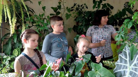 Экскурсии по Станции юных натуралистов Невинномысска пользуются большим успехом